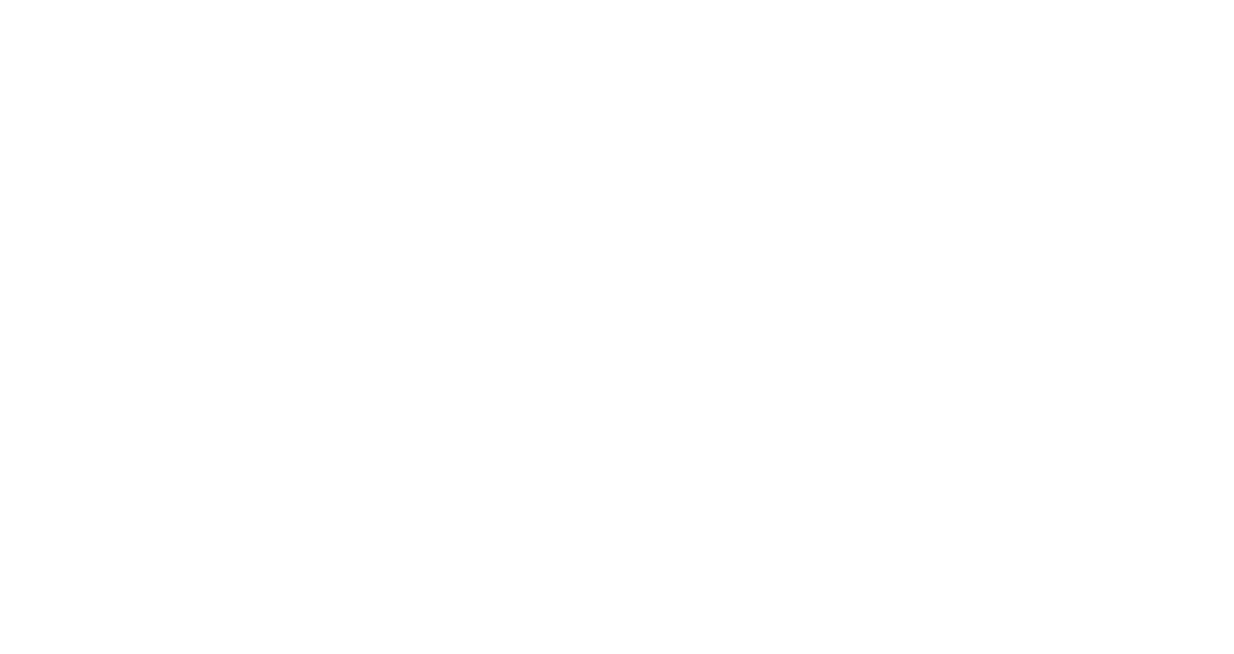 SkrisT